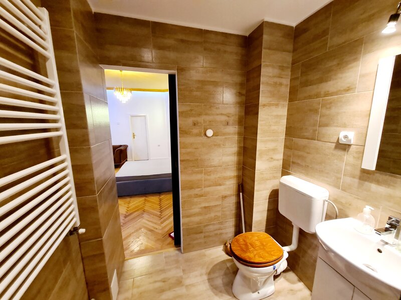 Sala Palatului - Cismigiu Inchiriere apartament 2 camere parter/6, centrala